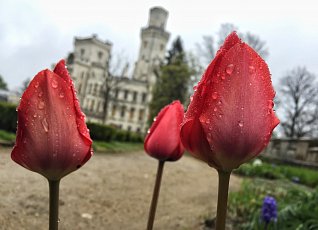 The beauty of the castle and gardens in any weather